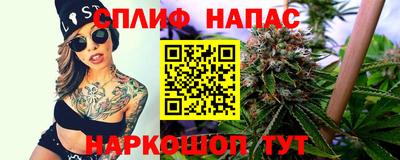 дмт Тверь