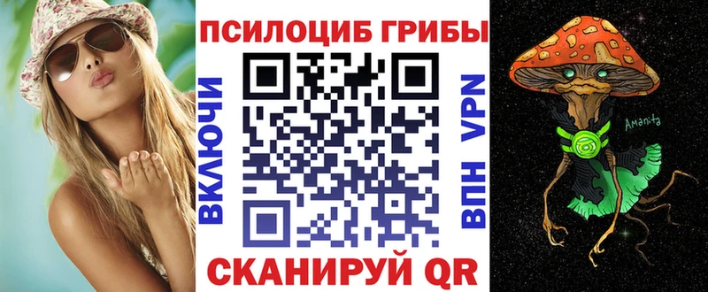 что такое   Карасук  Галлюциногенные грибы мицелий 