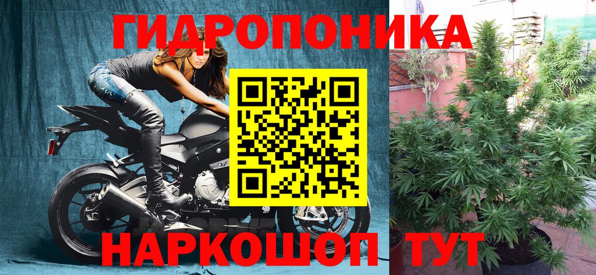 Карасук  Марихуана Amnesia  Марихуана OG Kush  Вход с VPN  МАРИХУАНА White Widow 
